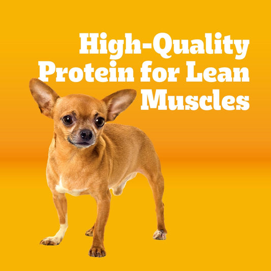 Pedigree_Small_Dogs_Dry_Dog_Food,_Grilled_Steak_and_Vegetable,_14_lb