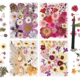 110+ Pcs Dried Pressed Flowers for Resin Crafts Colorful-C