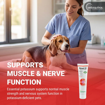 Vetoquinol_Renal_K,_Potassium_Gel_for_Dogs_and_Cats,_Maple,_5_oz