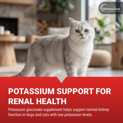 Vetoquinol_Renal_K,_Potassium_Gel_for_Dogs_and_Cats,_Maple,_5_oz
