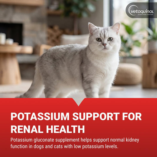 Vetoquinol_Renal_K,_Potassium_Gel_for_Dogs_and_Cats,_Maple,_5_oz