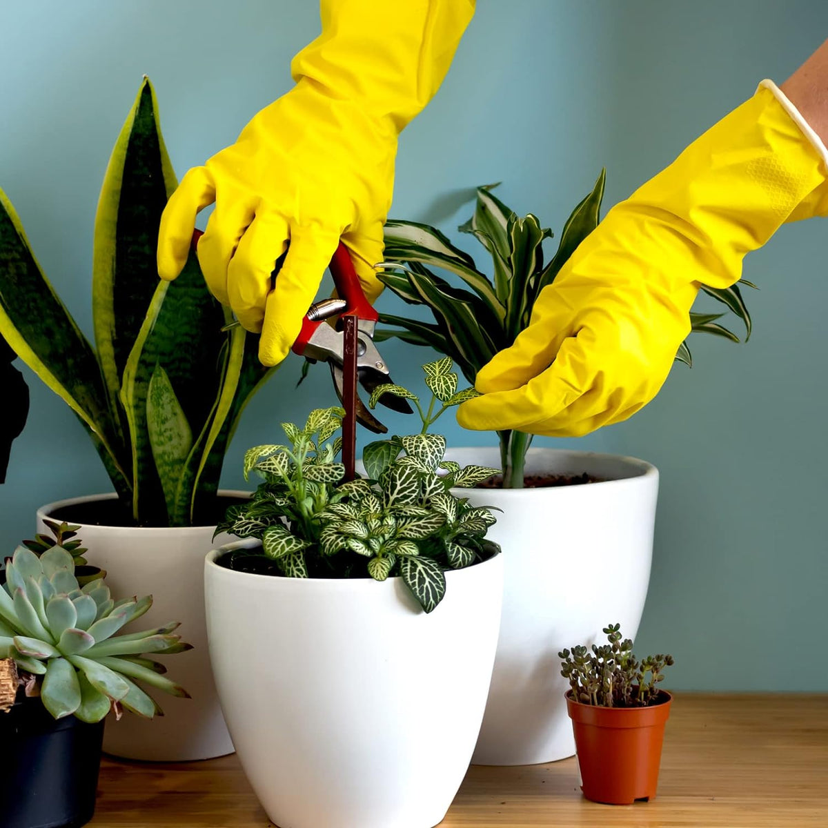 Rubber_Kitchen_Dishwashing_Gloves_-_4_Pairs_Colorful_Reusable_Household_Cleaning_Gloves_for_Washing_Dishes_and_Cleaning_Tasks,_Flexible_Long-lasting_and_Non-Slip_(Medium,_Blue+Pink+Yellow+Red)