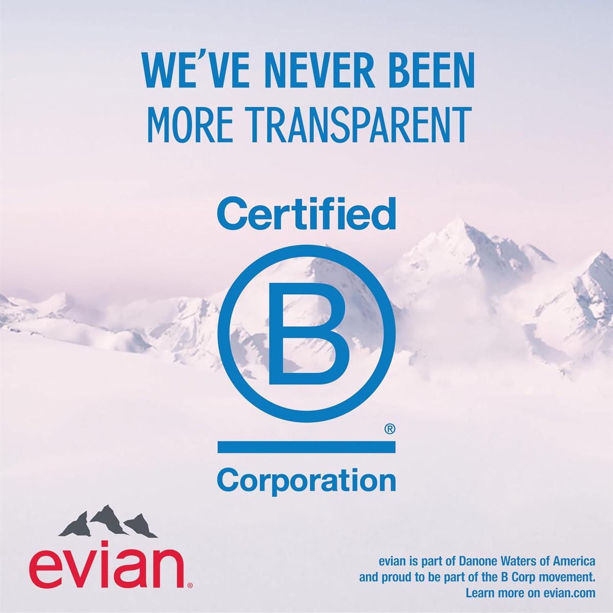 Evian_Natural_Spring_Water,_1_L_bottle,_12_pack