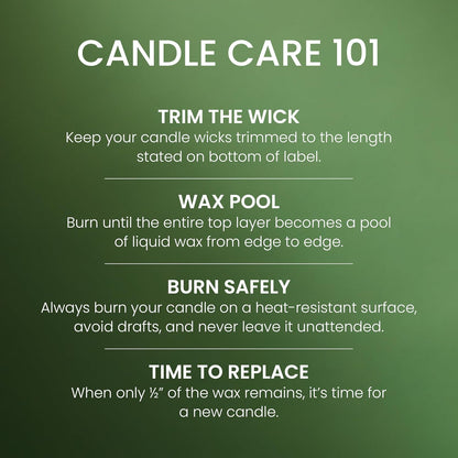 Yankee_Candle_Balsam_&_Cedar_Scented_Candle,_22oz_Large_Jar
