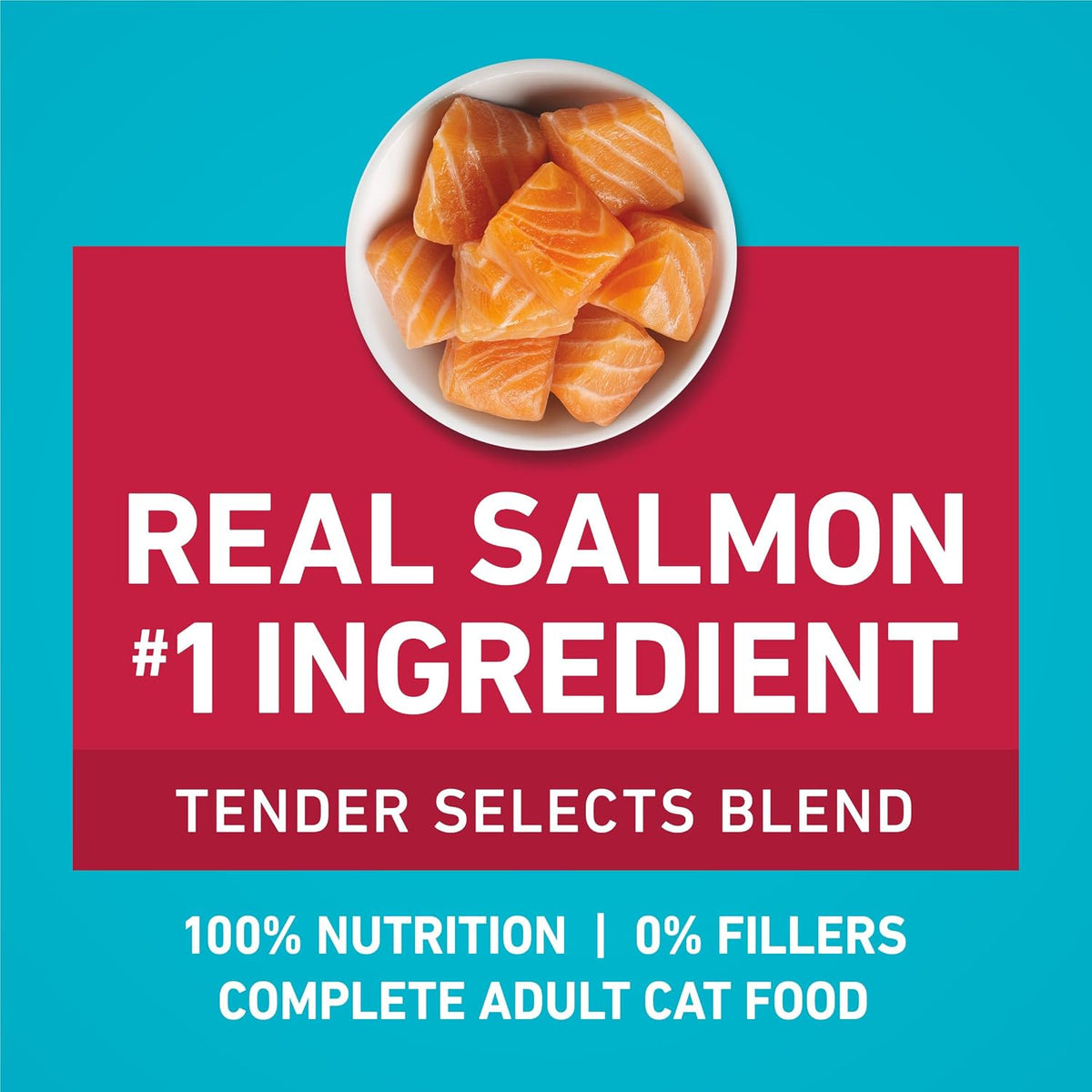 Purina_ONE_Tender_Selects_Dry_Cat_Food,_Salmon,_7_lb_Bag