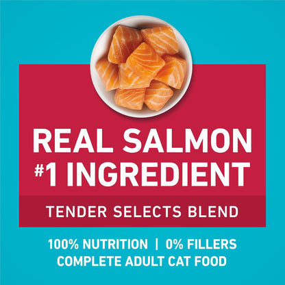 Purina_ONE_Tender_Selects_Dry_Cat_Food,_Salmon,_7_lb_Bag