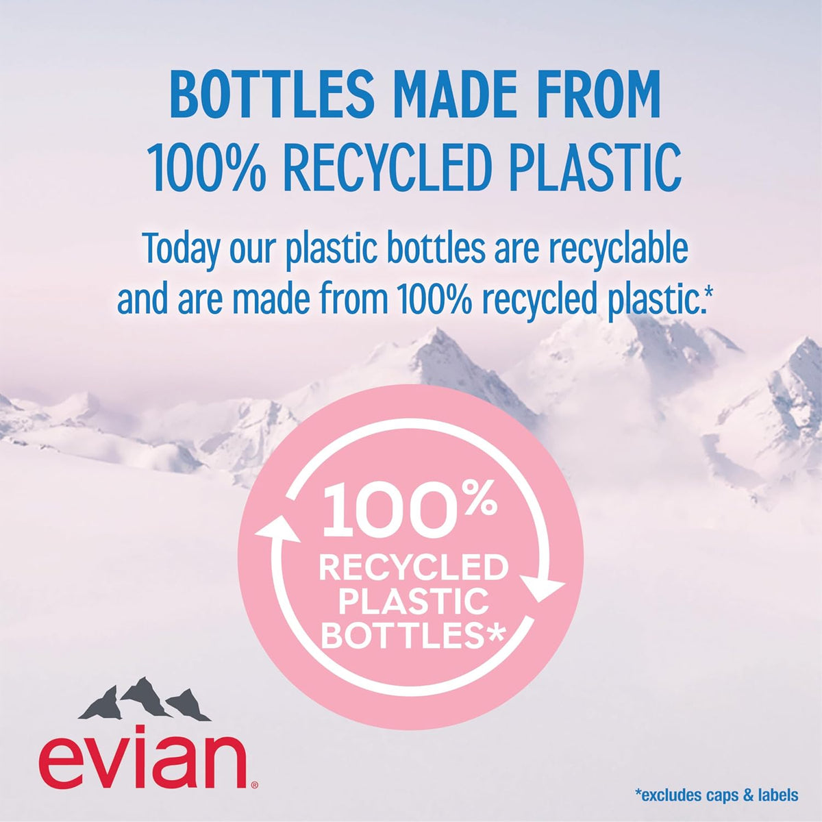 Evian_Natural_Spring_Water,_1_L_bottle,_12_pack