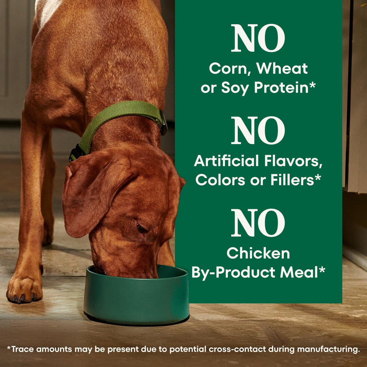 Nutro_Natural_Choice_Adult_Dry_Dog_Food,_Chicken_&_Brown_Rice_Recipe,_30_lb