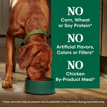 Nutro_Natural_Choice_Adult_Dry_Dog_Food,_Chicken_&_Brown_Rice_Recipe,_30_lb