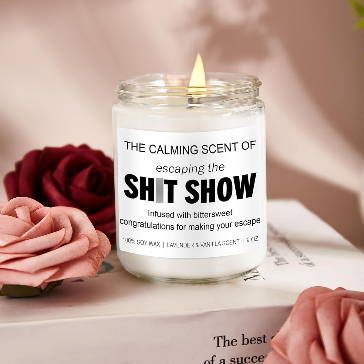 Younift_Sarcastic_Candles,_Going_Away,_Goodbye,_Farewell_Gifts_for_Coworkers_-_Retirement,_Coworker_Leaving_Gifts_for_Women,_Men_-_Leaving_Job,_Moving_Away_Presents_for_Friends,_Boss,_Work_Bestie