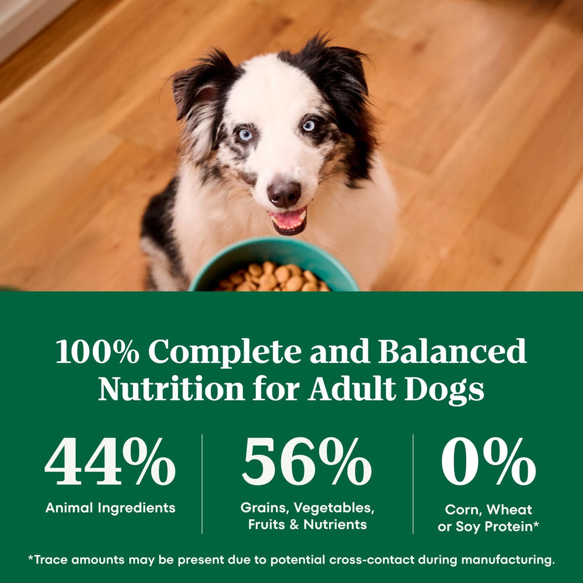 Nutro_Natural_Choice_Adult_Dry_Dog_Food,_Chicken_&_Brown_Rice_Recipe,_30_lb