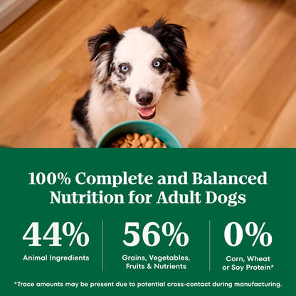 Nutro_Natural_Choice_Adult_Dry_Dog_Food,_Chicken_&_Brown_Rice_Recipe,_30_lb