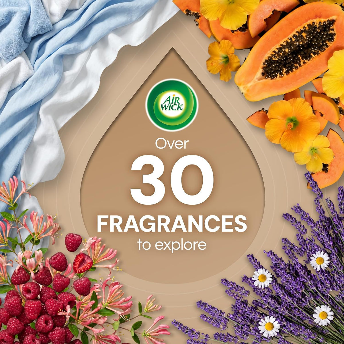 Air_Wick_Plug_In_Refills,_Lavender_&_Chamomile,_Essential_Oils,10_count