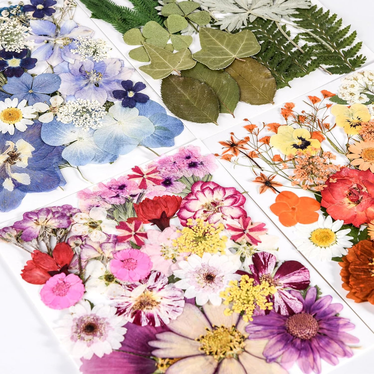 110+_Pcs_Dried_Pressed_Flowers_for_Resin_Crafts_Colorful-C
