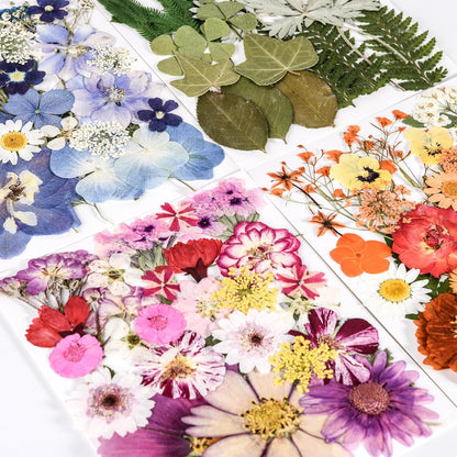 110+_Pcs_Dried_Pressed_Flowers_for_Resin_Crafts_Colorful-C
