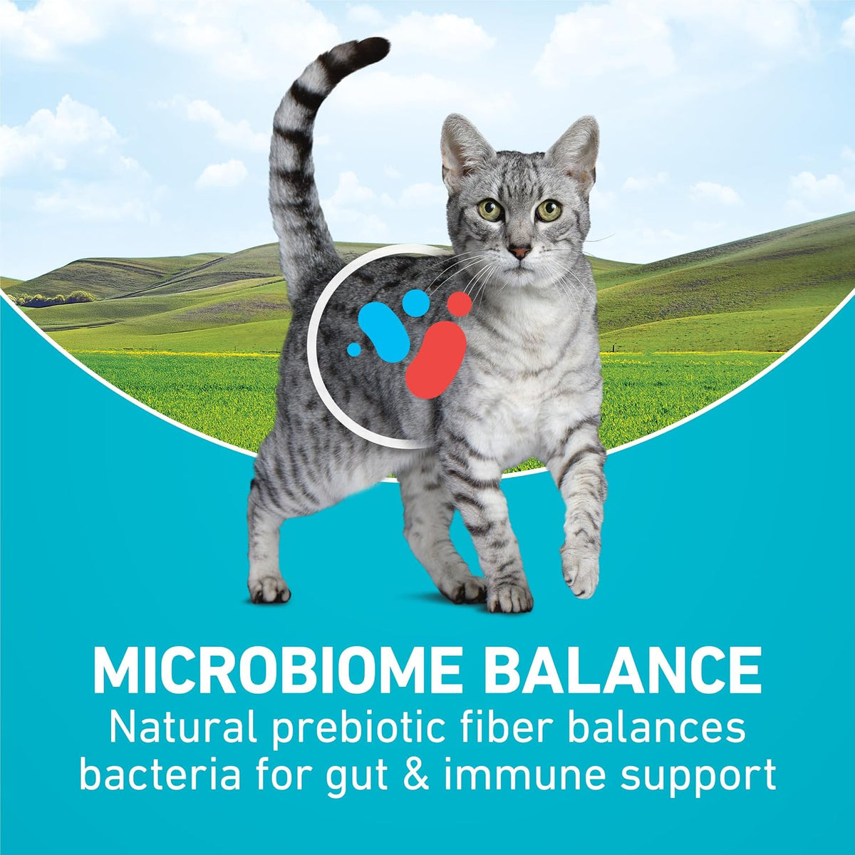 Purina_ONE_Tender_Selects_Dry_Cat_Food,_Salmon,_7_lb_Bag