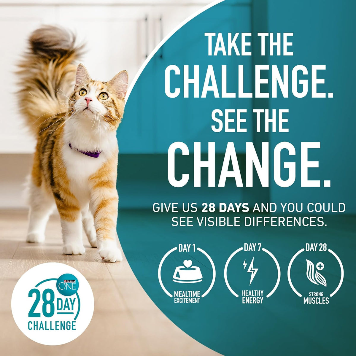 Purina_ONE_Tender_Selects_Dry_Cat_Food,_Salmon,_7_lb_Bag
