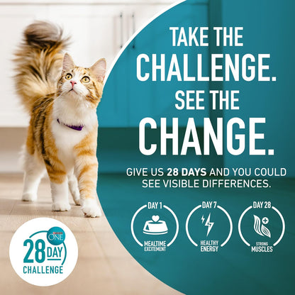 Purina_ONE_Tender_Selects_Dry_Cat_Food,_Salmon,_7_lb_Bag