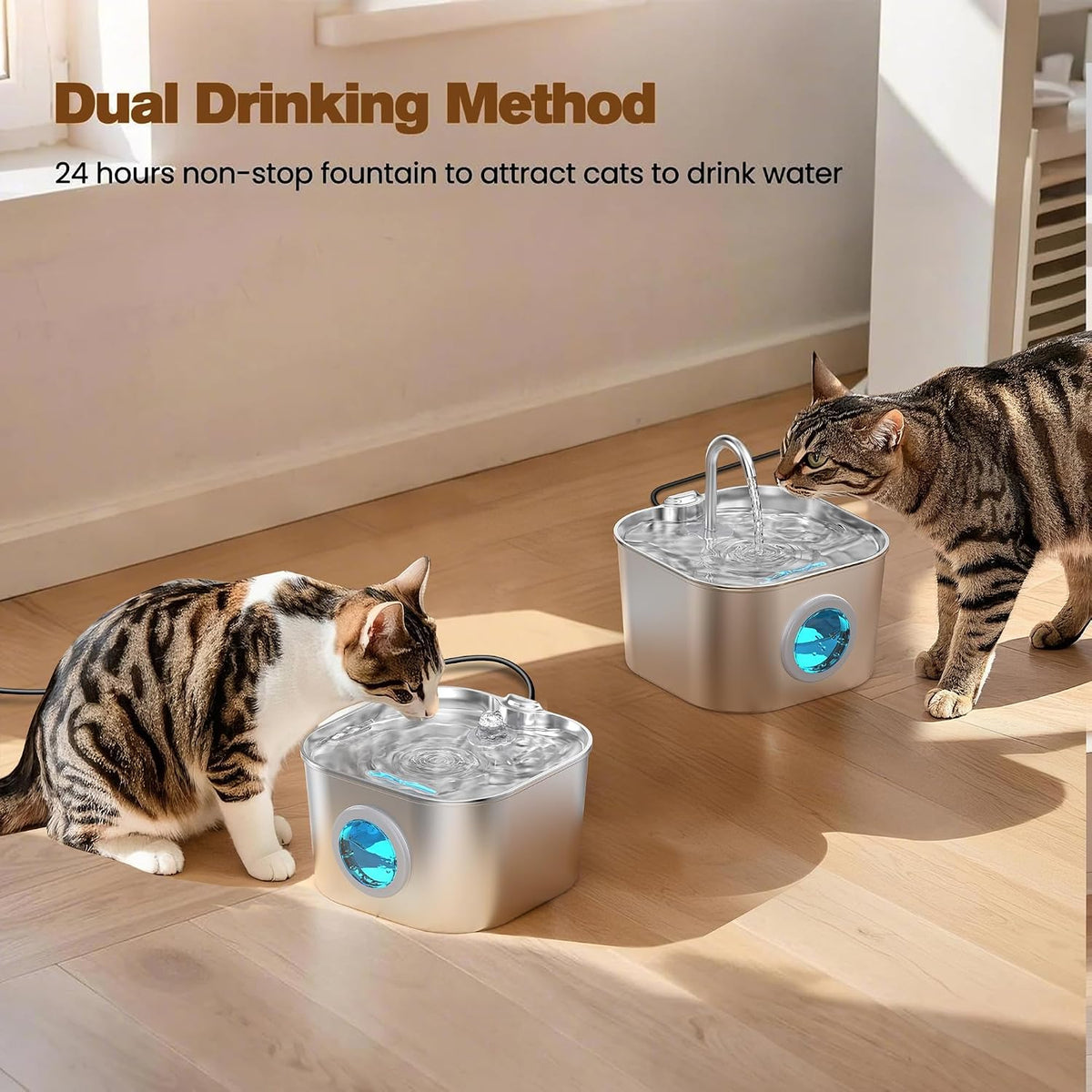 Cat_Water_Fountain_Stainless_Steel:_Pet_Fountains_for_Cats/Dog_Indoor_74oz