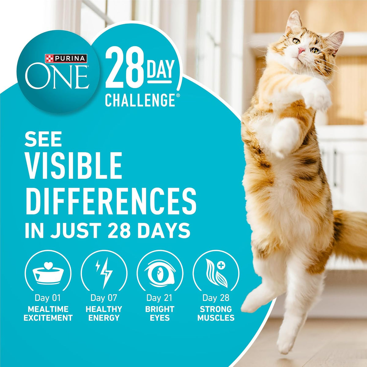 Purina_ONE_Tender_Selects_Dry_Cat_Food,_Salmon,_7_lb_Bag