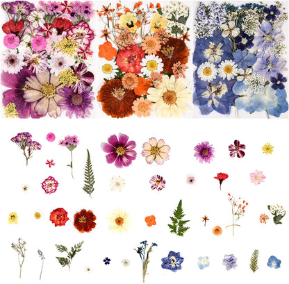 110+_Pcs_Dried_Pressed_Flowers_for_Resin_Crafts_Colorful-C