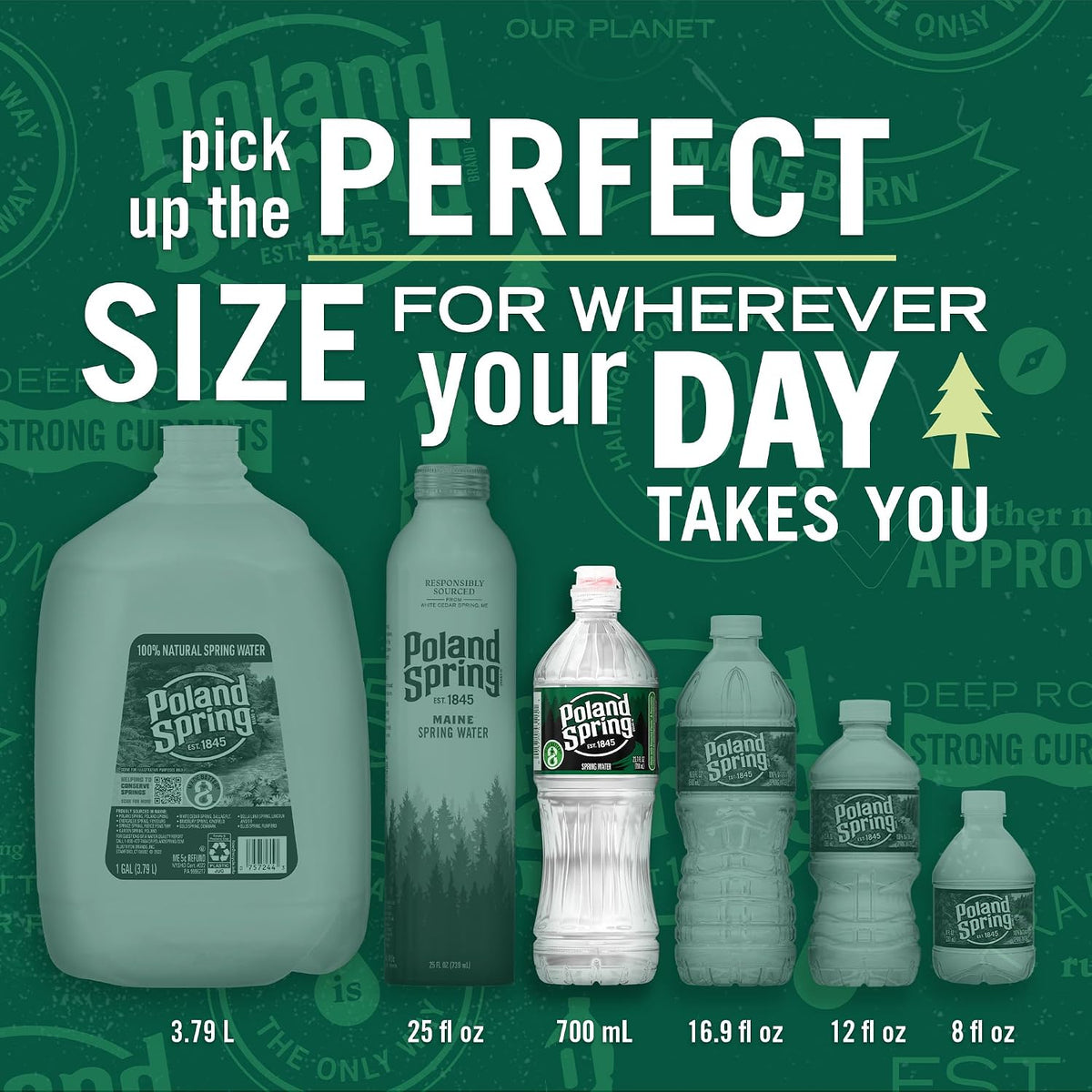 Poland_Spring_Maine_Spring_Bottled_Water_-_23.7_Fl_Oz,_24_Pack