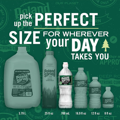 Poland_Spring_Maine_Spring_Bottled_Water_-_23.7_Fl_Oz,_24_Pack