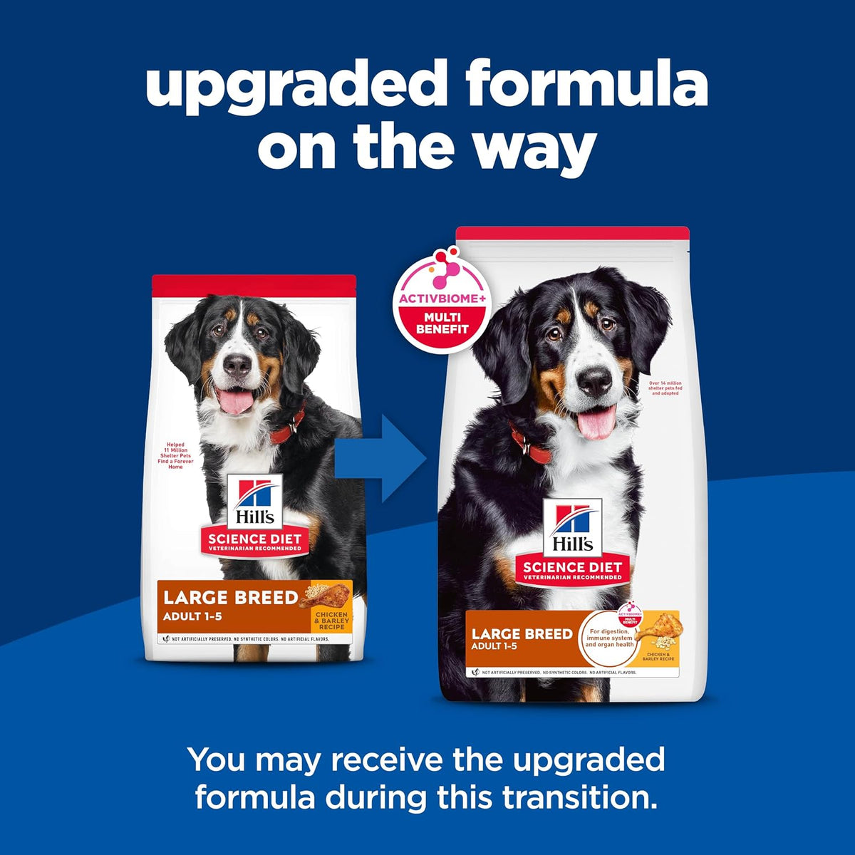 Hill's_Science_Diet_Large_Breed_Dry_Dog_Food
