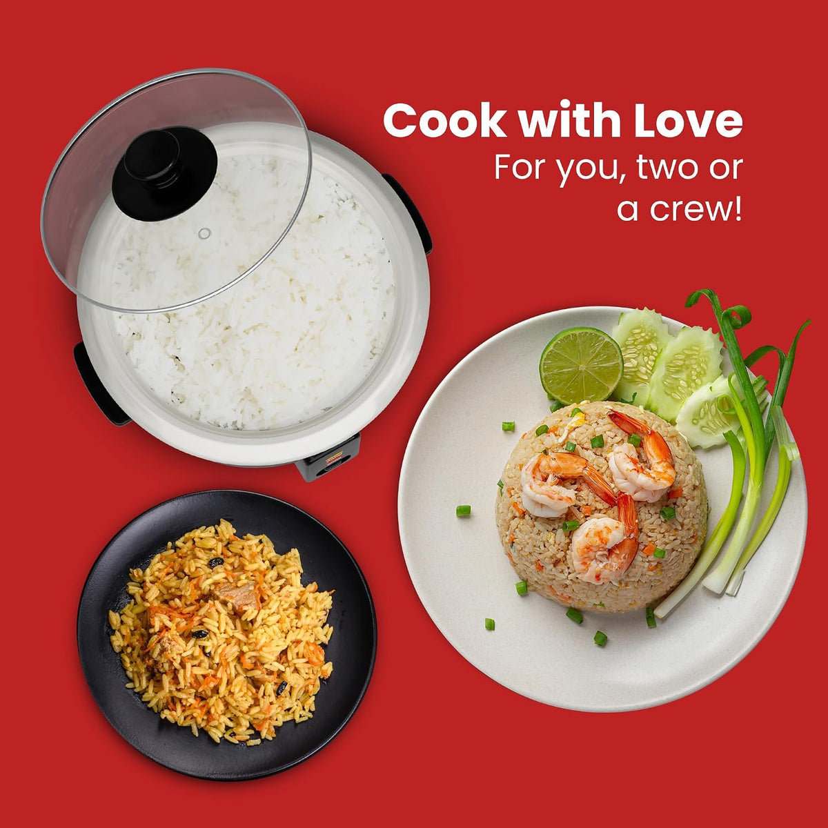 Elite_Gourmet_ERC003BX_Rice_Cooker,_Keep_Warm,_Black,_6_Cups_Cooked
