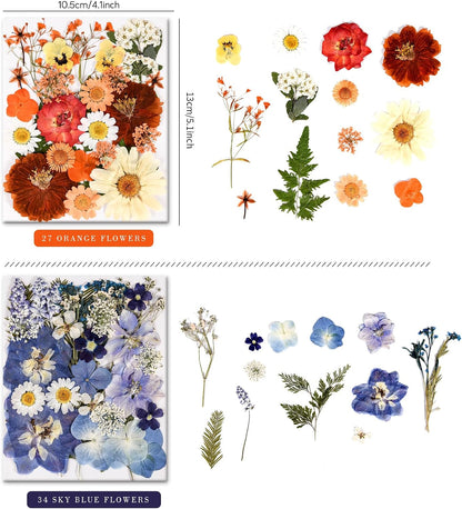 110+_Pcs_Dried_Pressed_Flowers_for_Resin_Crafts_Colorful-C
