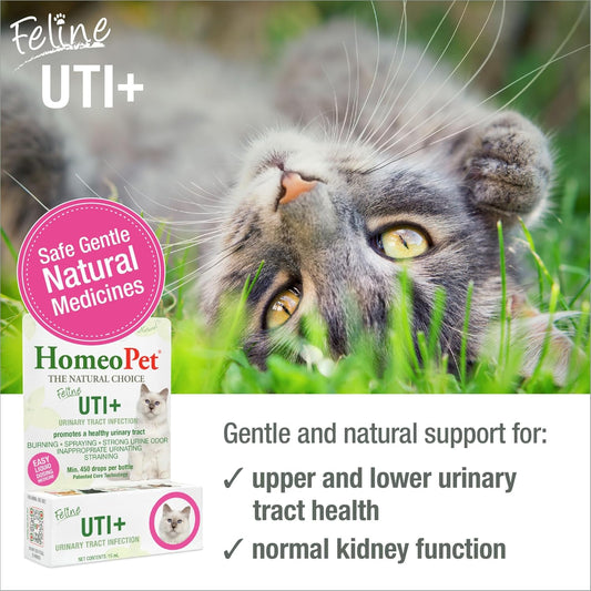 HomeoPet_Feline_UTI+_Urinary_Tract_Supplement_for_Cats,_15_Milliliters