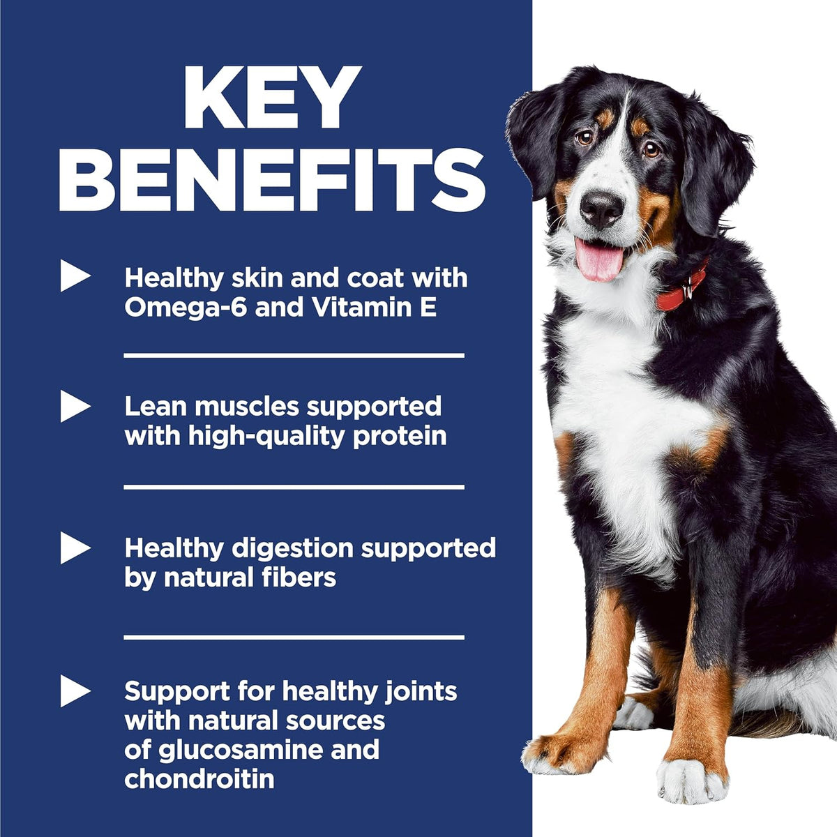 Hill's_Science_Diet_Large_Breed_Dry_Dog_Food