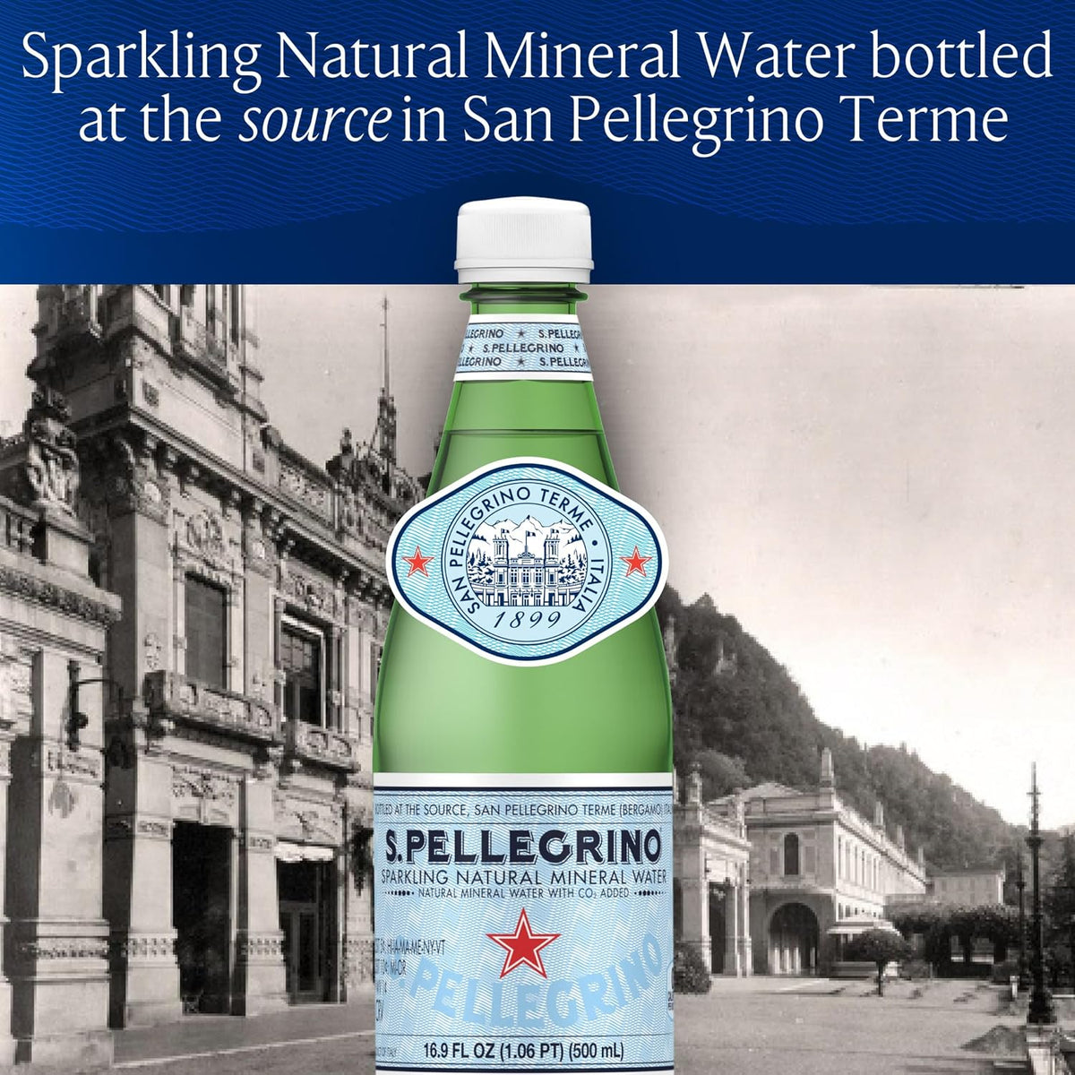 S.Pellegrino_Sparkling_Natural_Mineral_Water,_Plastic_Bottles,_16.9_Fl_Oz_(Pack_of_12)