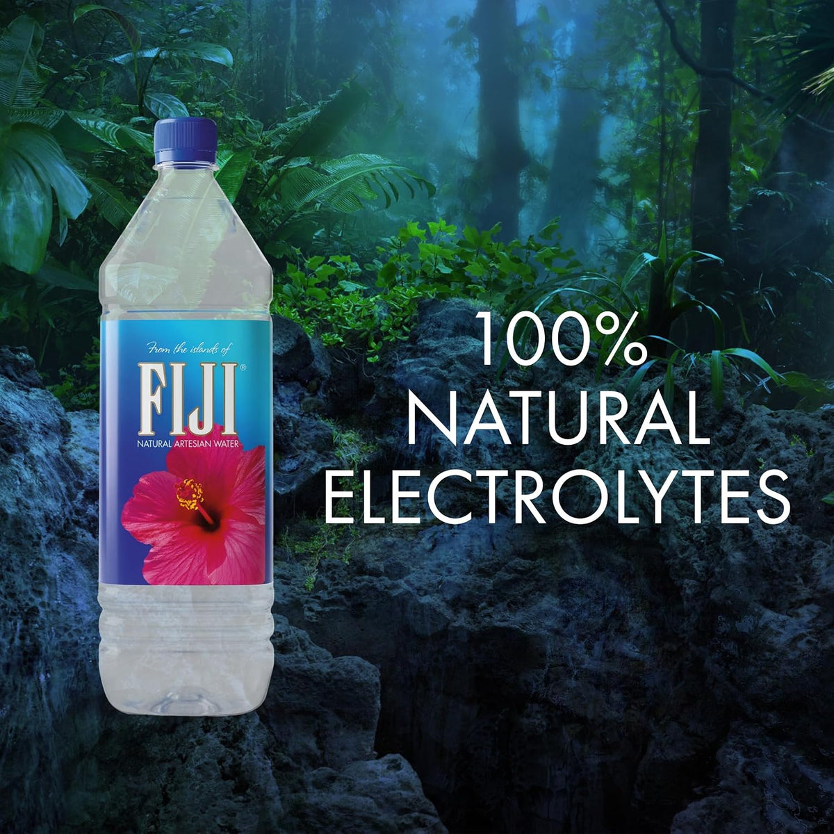 FIJI_Natural_Artesian_Bottled_Water_1.5_Liters_/50.7_Fl_Ounce_(Pack_of_12)