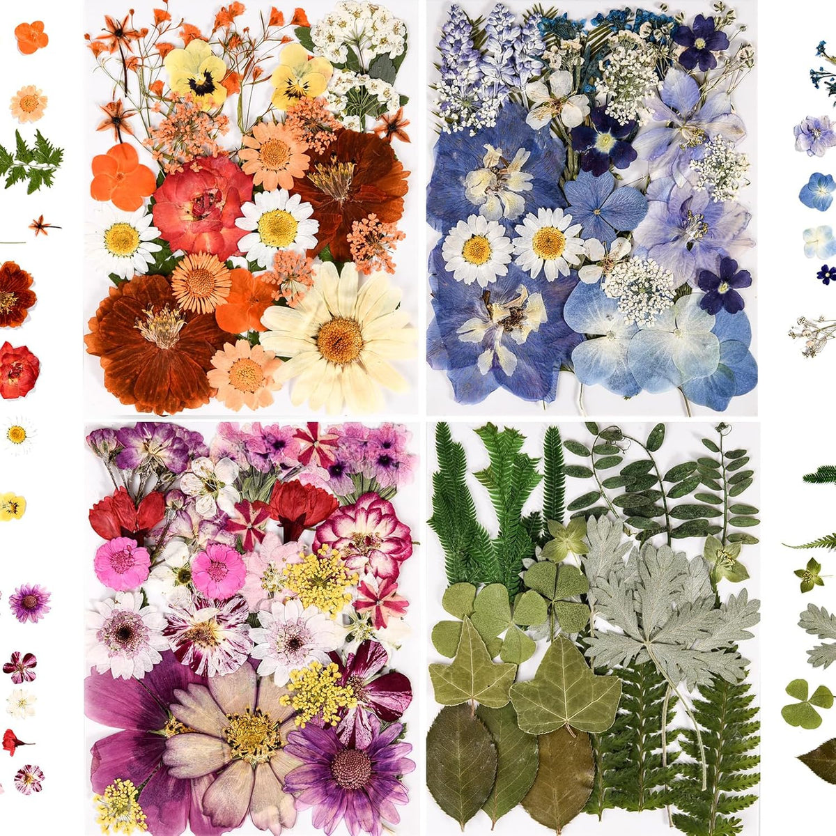 110+_Pcs_Dried_Pressed_Flowers_for_Resin_Crafts_Colorful-C