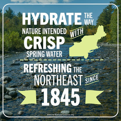 Poland_Spring_Maine_Spring_Bottled_Water_-_23.7_Fl_Oz,_24_Pack