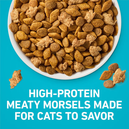 Purina_ONE_Tender_Selects_Dry_Cat_Food,_Salmon,_7_lb_Bag