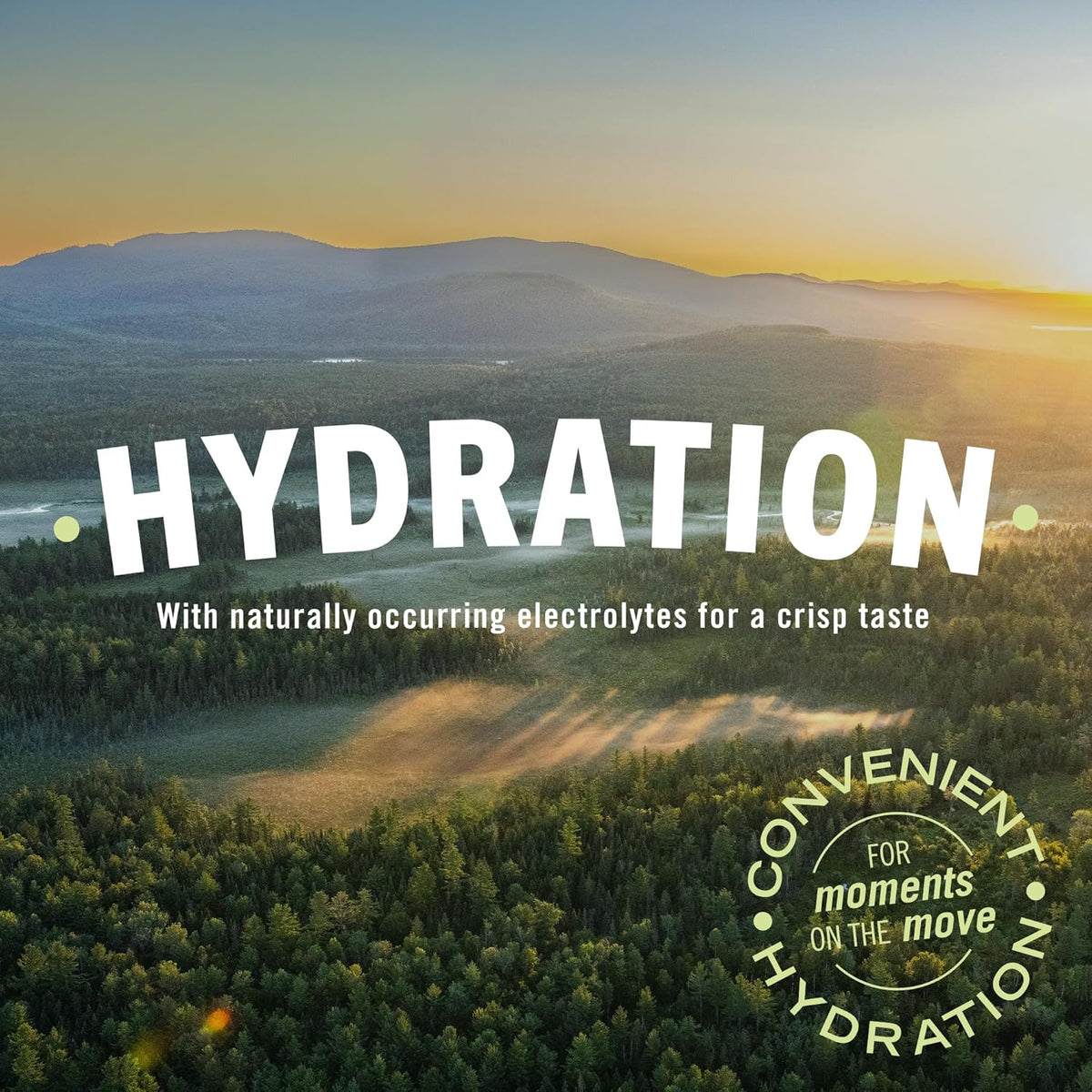 Poland_Spring_Maine_Spring_Bottled_Water_-_23.7_Fl_Oz,_24_Pack