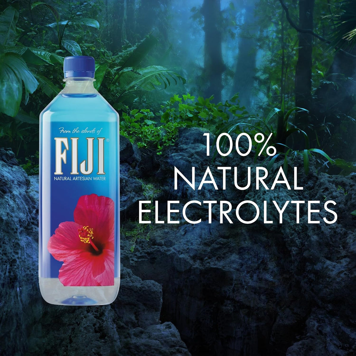 FIJI_Natural_Artesian_Bottled_Water,_1_Liter_/_33.8_Fl_Oz_(Pack_of_12)