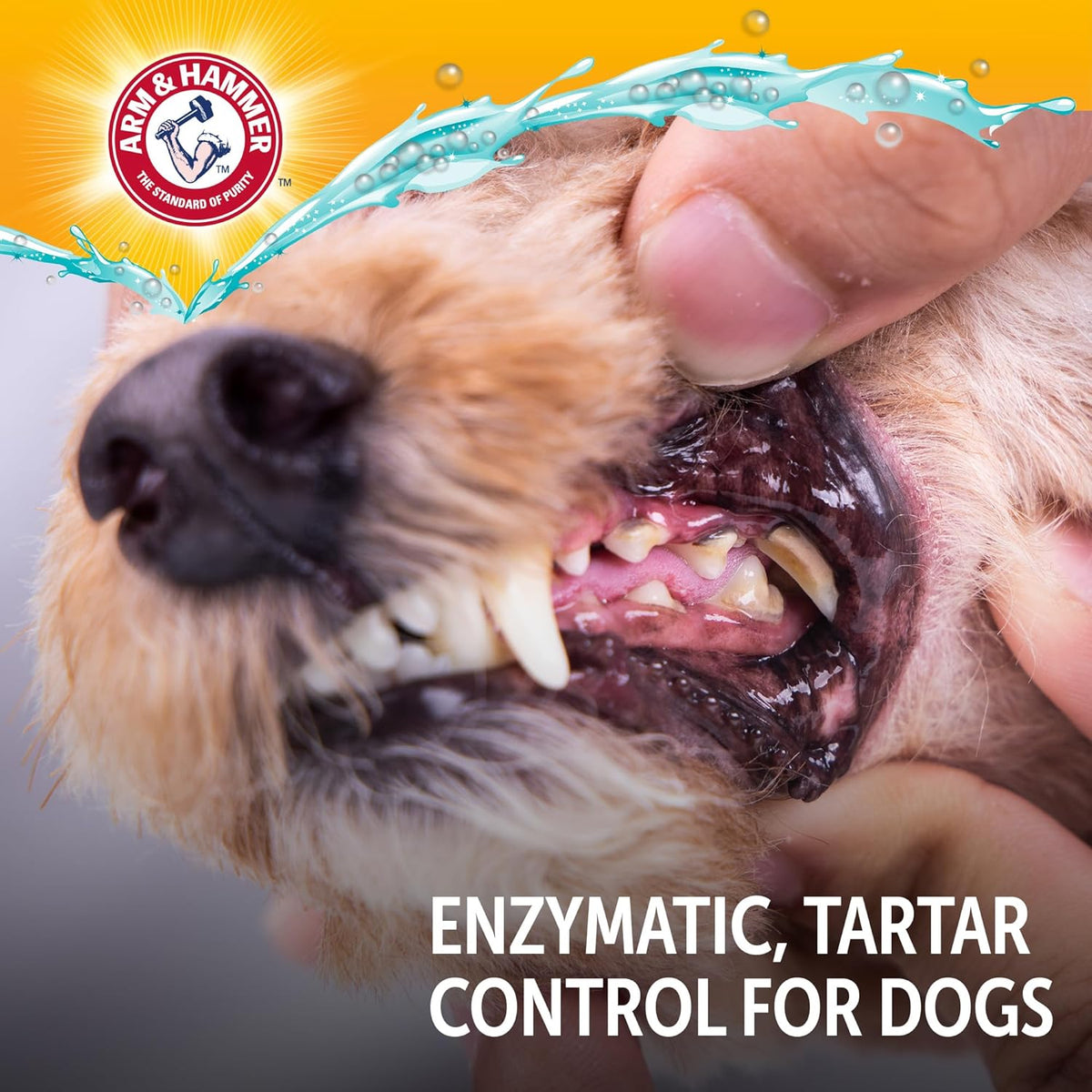 Arm & Hammer Complete Care Enzymatic Dog Toothpaste – Cost-Efficient Enamel Care for Multi-Dog Routines, 6.2 Oz Value