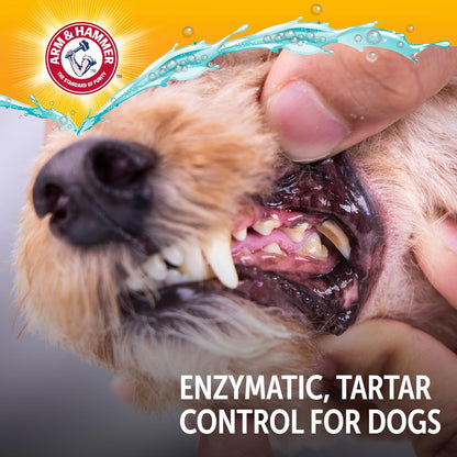 Arm & Hammer Complete Care Enzymatic Dog Toothpaste – Cost-Efficient Enamel Care for Multi-Dog Routines, 6.2 Oz Value