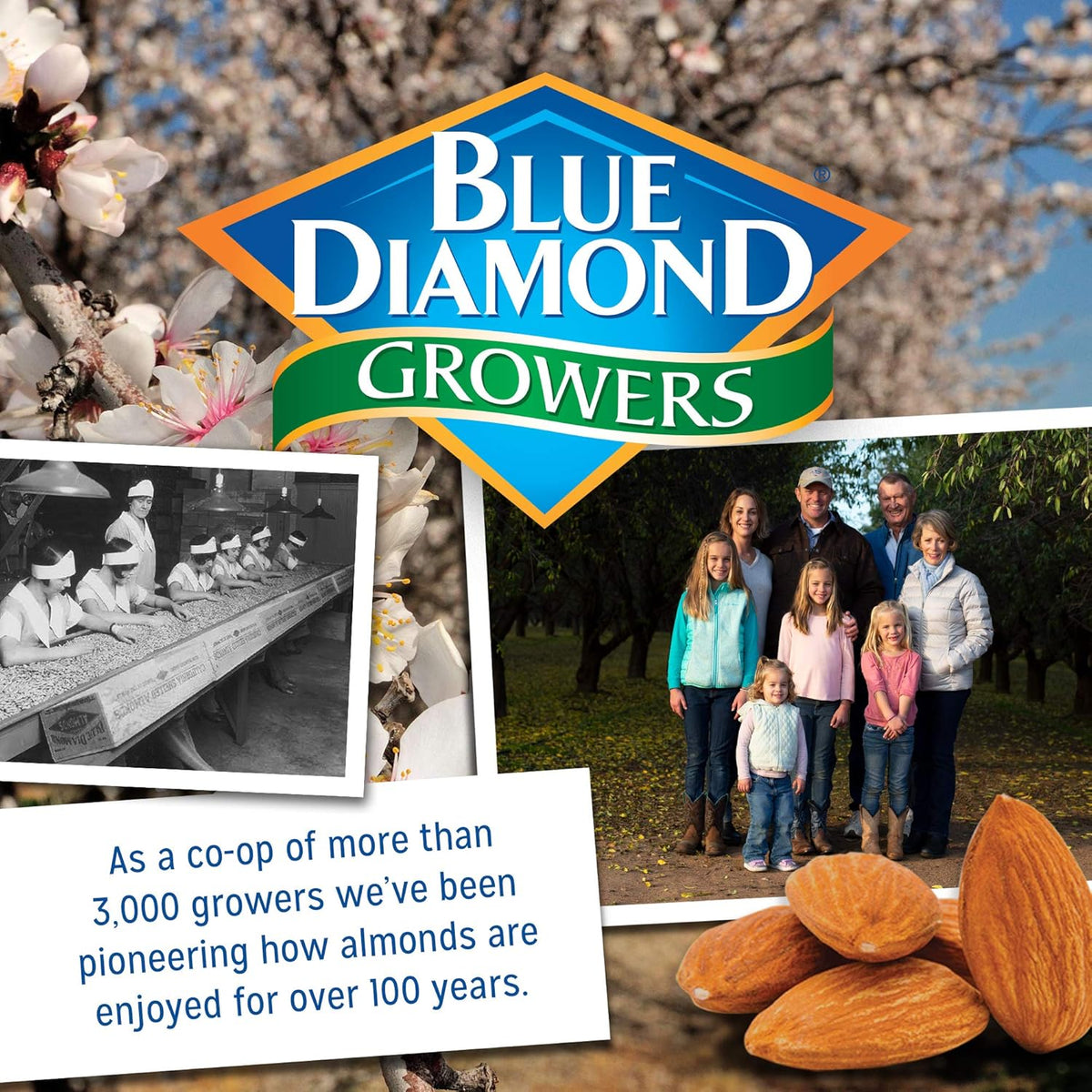 Blue Diamond Almonds Nut Thins Cheddar Cheese – Multi-Pack Snack Cracker for Healthy Care Package Gifting