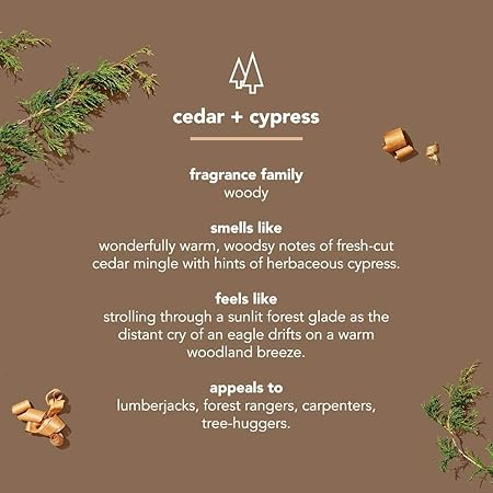 free from parabens, phthalates, and dyes