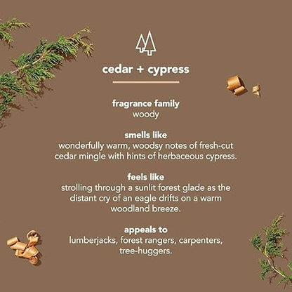 free from parabens, phthalates, and dyes
