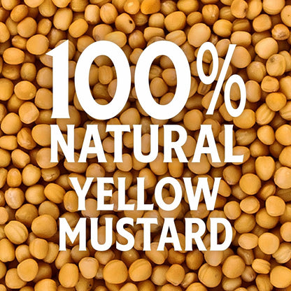 Heinz Minimalist Condiment Set – One Box, Three Everyday Heinz Squeeze Bottles for Burgers and Dogs