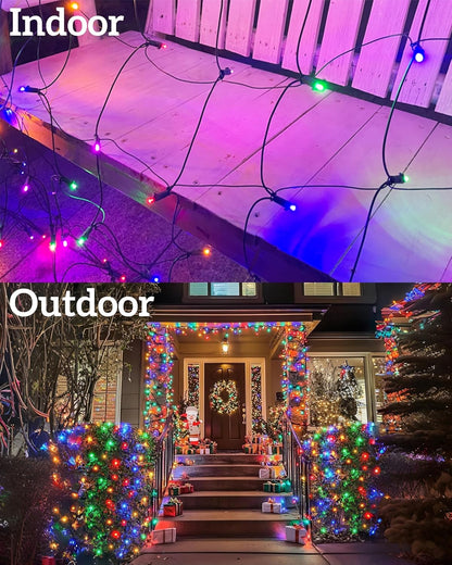 LumEver Holiday Net Lights Indoor Window Shrub Bedroom Accent and Cozy Home Ambiance
