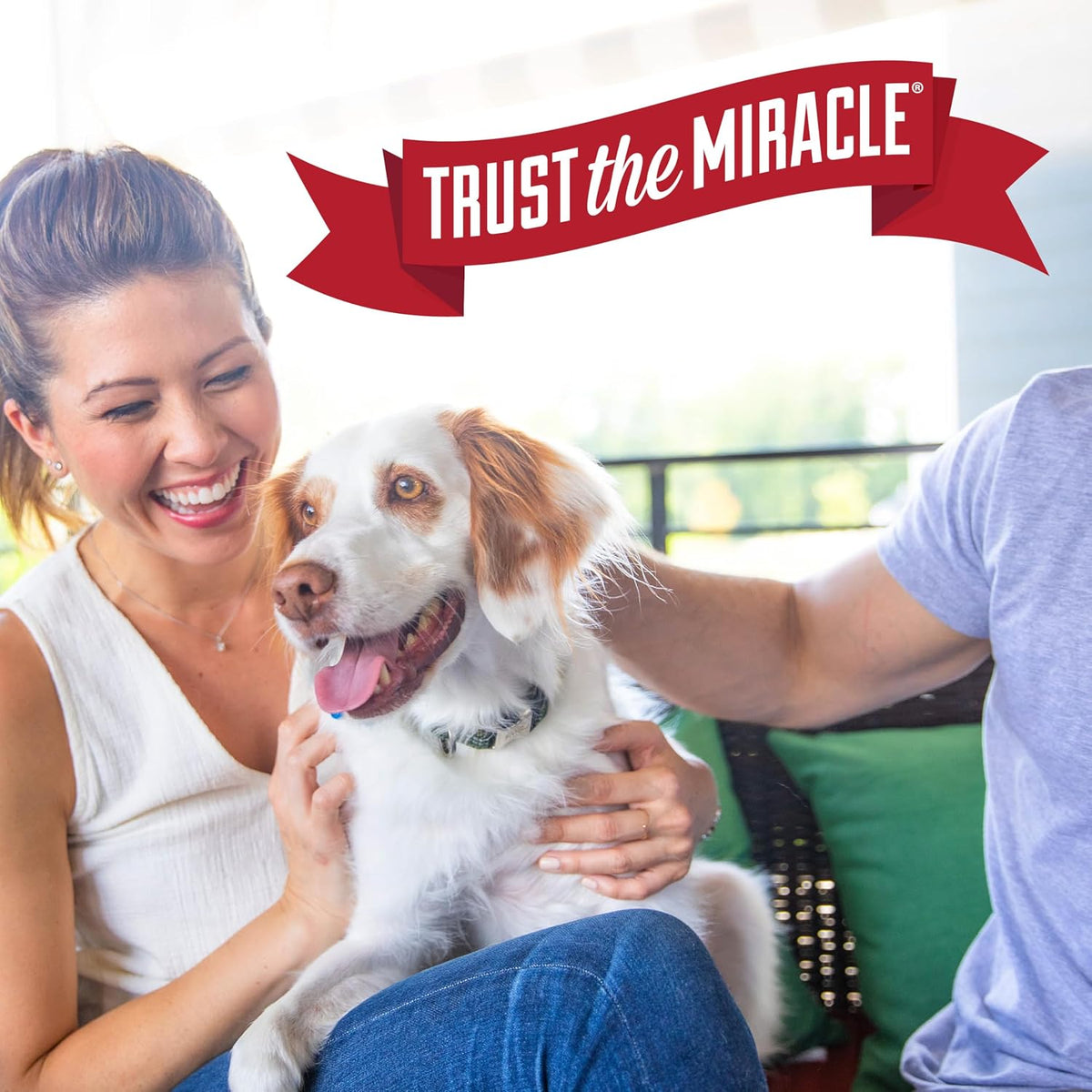 Nature’s Miracle Stain and Odor Remover Dog, 32 Ounces – Family-Friendly Enzymatic Spray for Playrooms and Nurseries