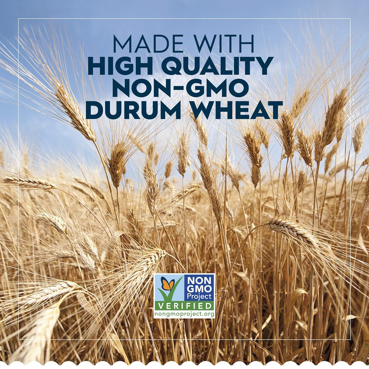 non-gmo certified ingredients