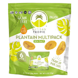 ARTISAN TROPIC Plantain Strips - Nutrient-Dense Crunch Snack for Desk-Side Wellness Breaks