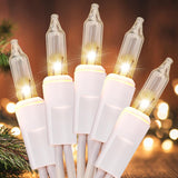 HOLIDAY HARVEST Outdoor String Lights – Backyard and Camping String Lights for Festive Evening Gatherings